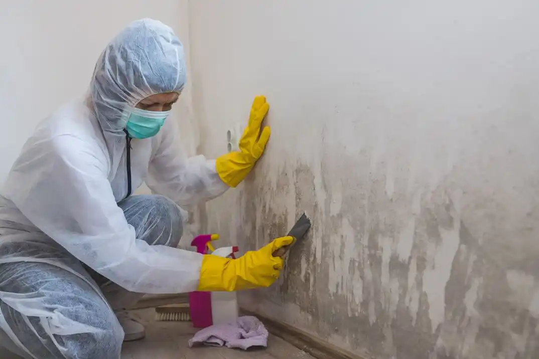water damage restoration service Oriole Park